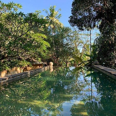 Sri Yoga Shala Bed & Breakfast Unawatuna Exterior photo