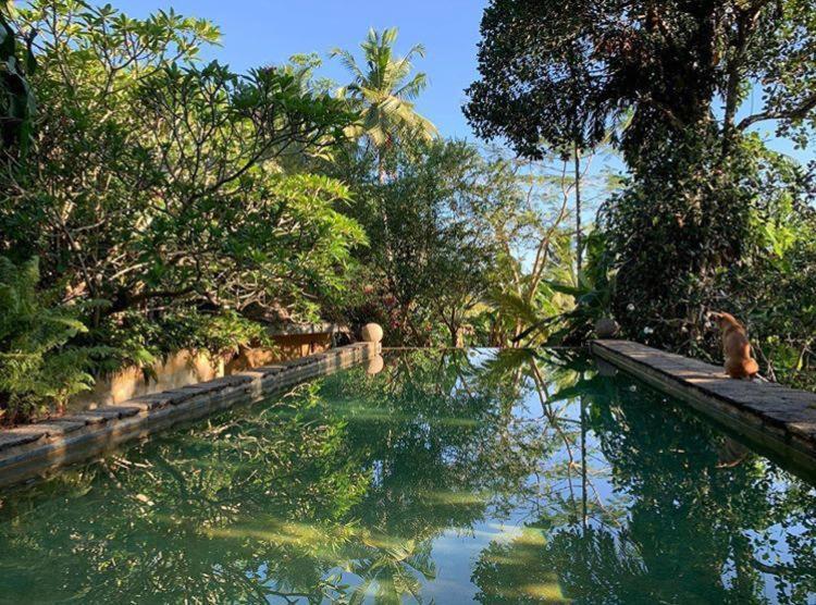Sri Yoga Shala Bed & Breakfast Unawatuna Exterior photo